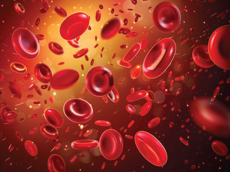 سرطان خون چیست